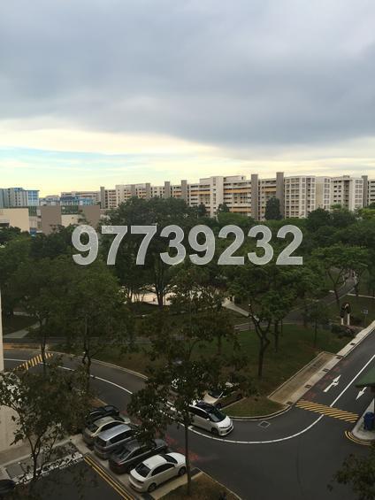 Blk 148 Tampines Avenue 5 (Tampines), HDB Executive #118531462